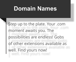 Domain Names Step up to the plate. Your .com moment awaits you. The possibilities are endless! Gobs of other extensions available as well. Find yours now!